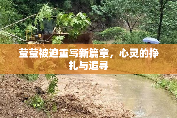 莹莹被迫重写新篇章，心灵的挣扎与追寻