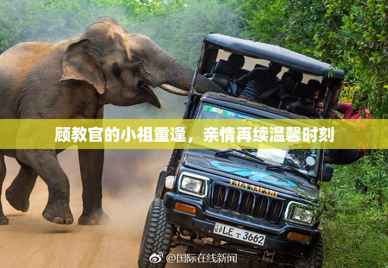 顾教官的小祖重逢，亲情再续温馨时刻