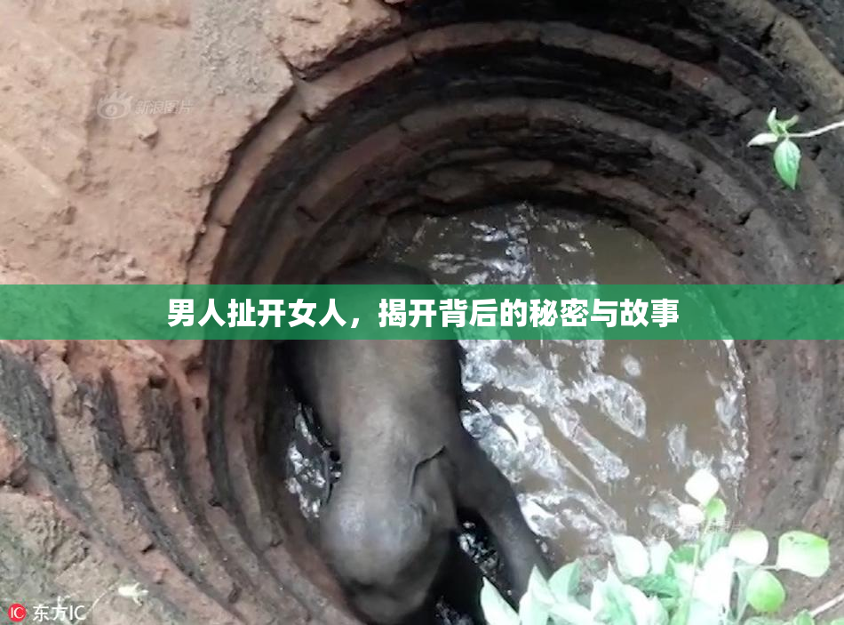 男人扯开女人，揭开背后的秘密与故事