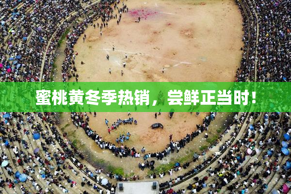 蜜桃黄冬季热销，尝鲜正当时！