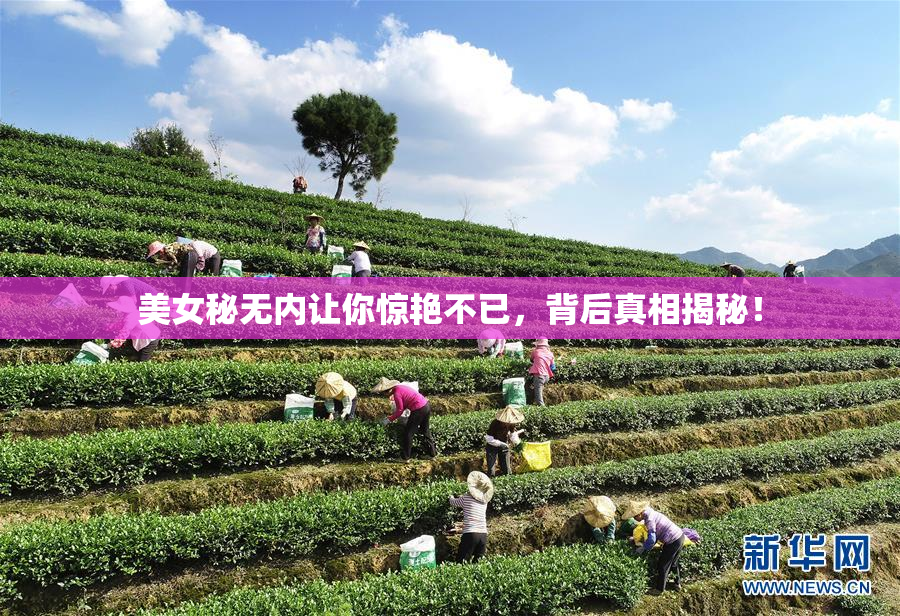 美女秘无内让你惊艳不已，背后真相揭秘！
