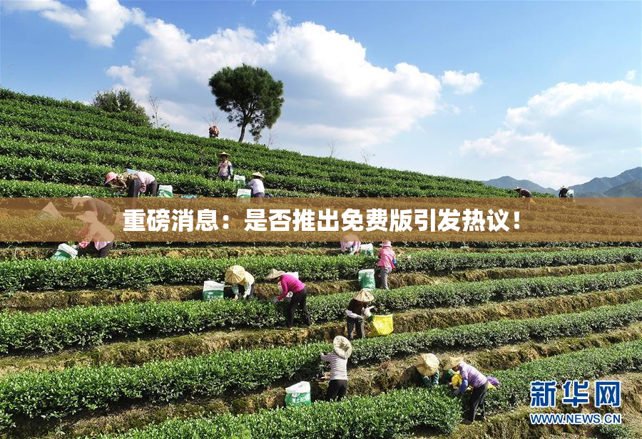 重磅消息：是否推出免费版引发热议！