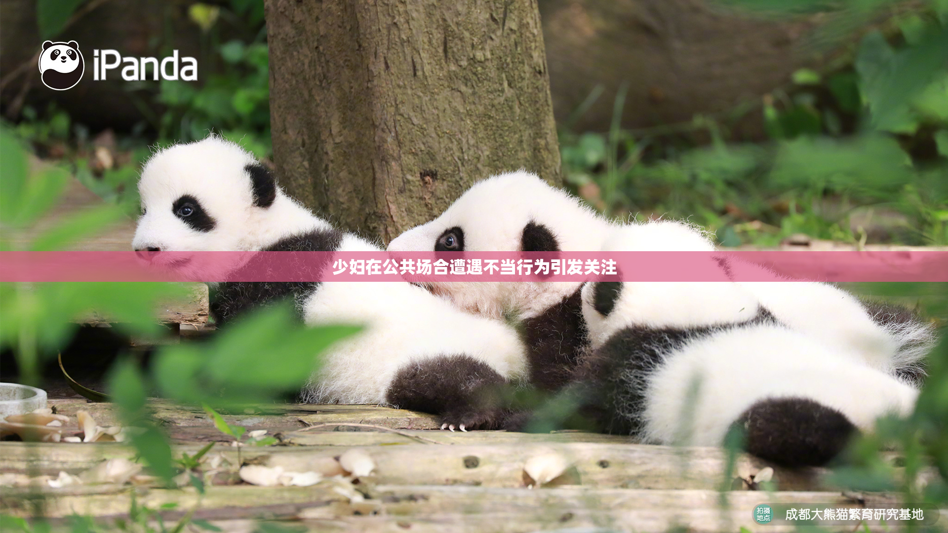 少妇在公共场合遭遇不当行为引发关注