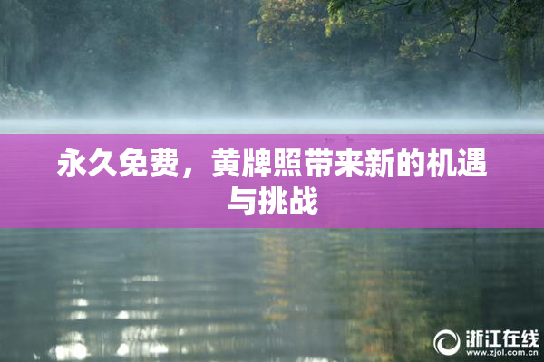 永久免费，黄牌照带来新的机遇与挑战