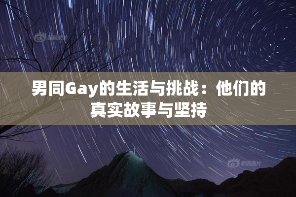 男同Gay的生活与挑战：他们的真实故事与坚持