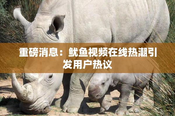 重磅消息：鱿鱼视频在线热潮引发用户热议
