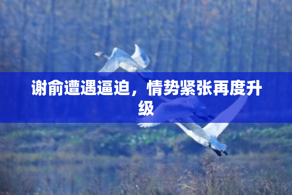 谢俞遭遇逼迫，情势紧张再度升级