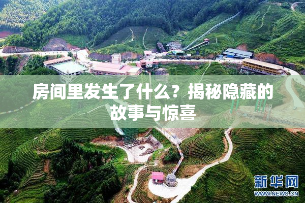 房间里发生了什么？揭秘隐藏的故事与惊喜