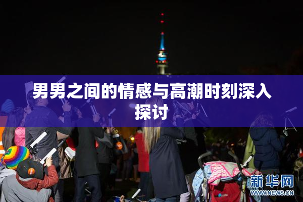 男男之间的情感与高潮时刻深入探讨