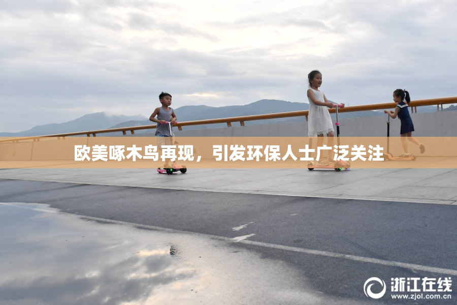 欧美啄木鸟再现，引发环保人士广泛关注
