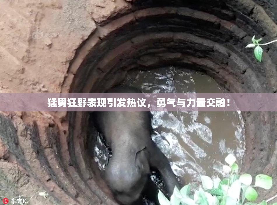 猛男狂野表现引发热议，勇气与力量交融！