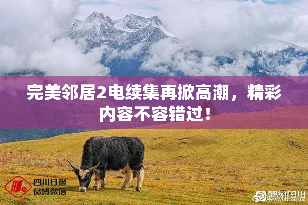完美邻居2电续集再掀高潮，精彩内容不容错过！