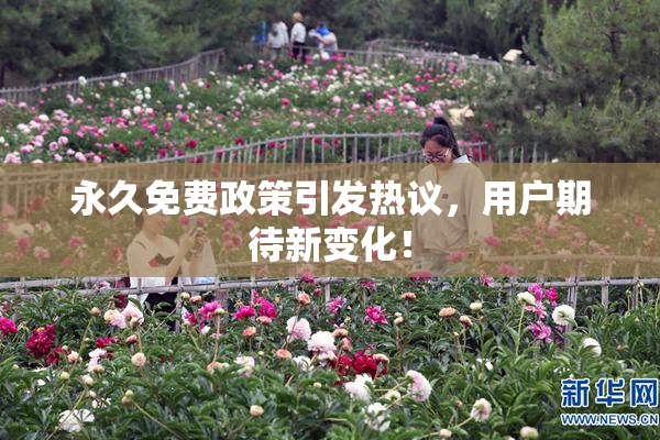 永久免费政策引发热议，用户期待新变化！