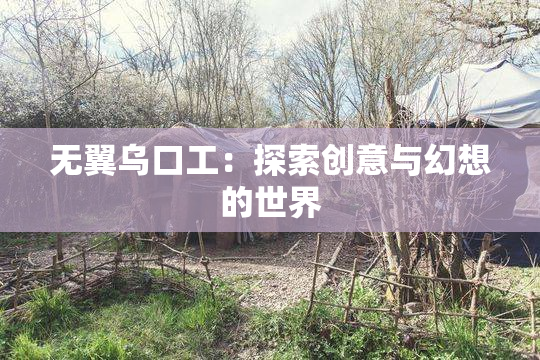无翼乌口工：探索创意与幻想的世界