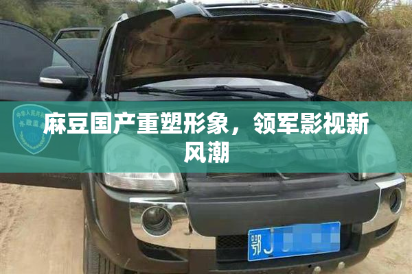 麻豆国产重塑形象，领军影视新风潮