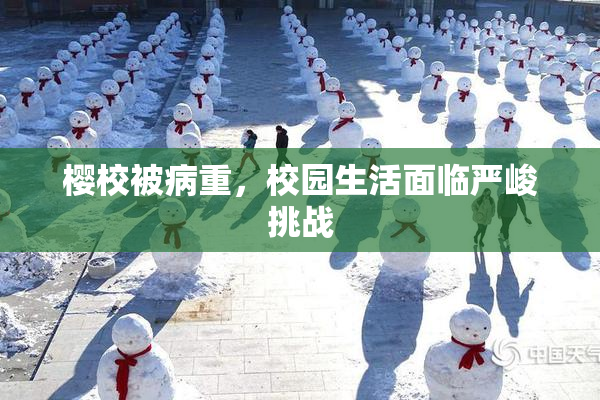 樱校被病重，校园生活面临严峻挑战