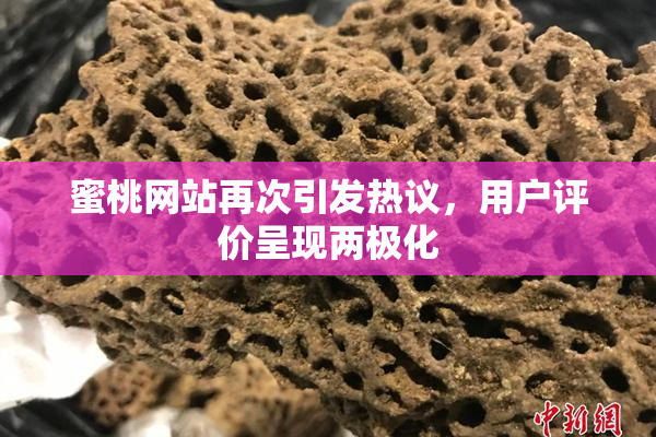 蜜桃网站再次引发热议，用户评价呈现两极化