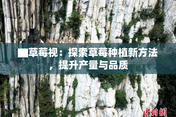 ▇草莓视：探索草莓种植新方法，提升产量与品质