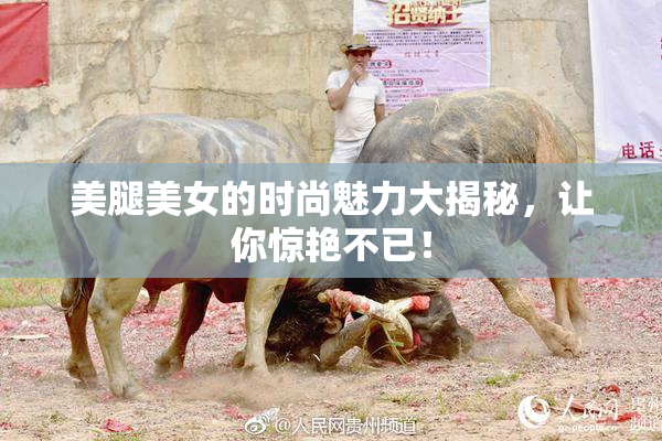 美腿美女的时尚魅力大揭秘，让你惊艳不已！