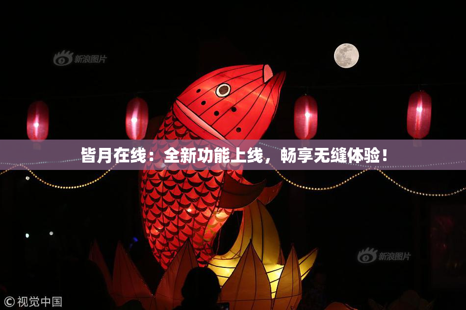 皆月在线：全新功能上线，畅享无缝体验！