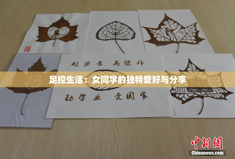 足控生活：女同学的独特爱好与分享