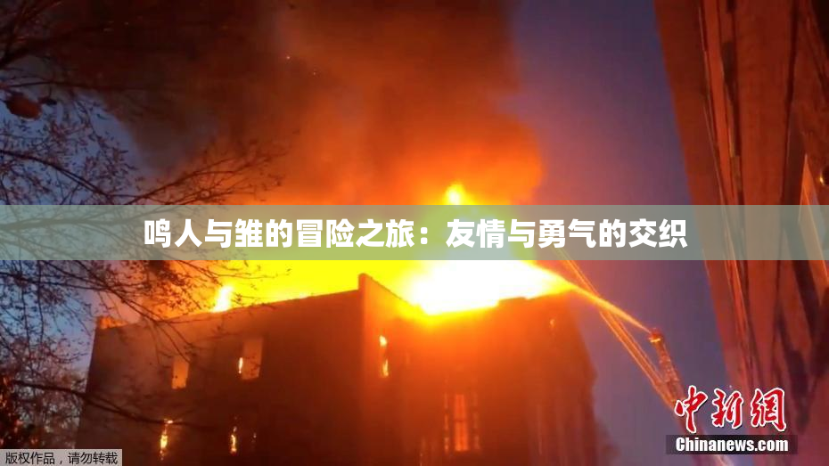 鸣人与雏的冒险之旅：友情与勇气的交织