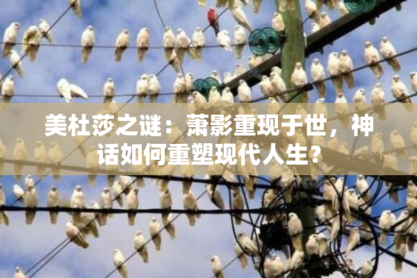 美杜莎之谜：萧影重现于世，神话如何重塑现代人生？