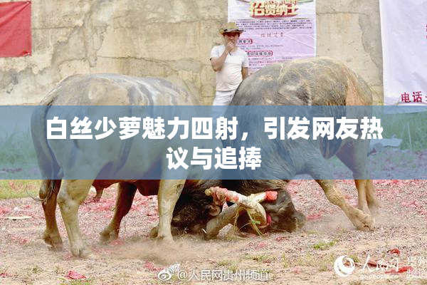 白丝少萝魅力四射，引发网友热议与追捧
