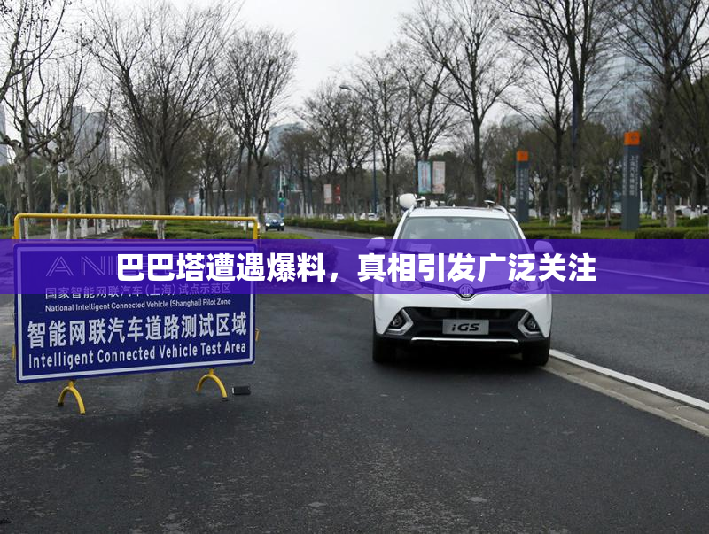 巴巴塔遭遇爆料，真相引发广泛关注