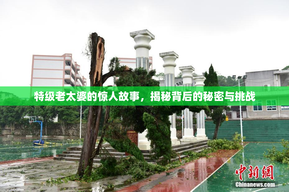 特级老太婆的惊人故事，揭秘背后的秘密与挑战