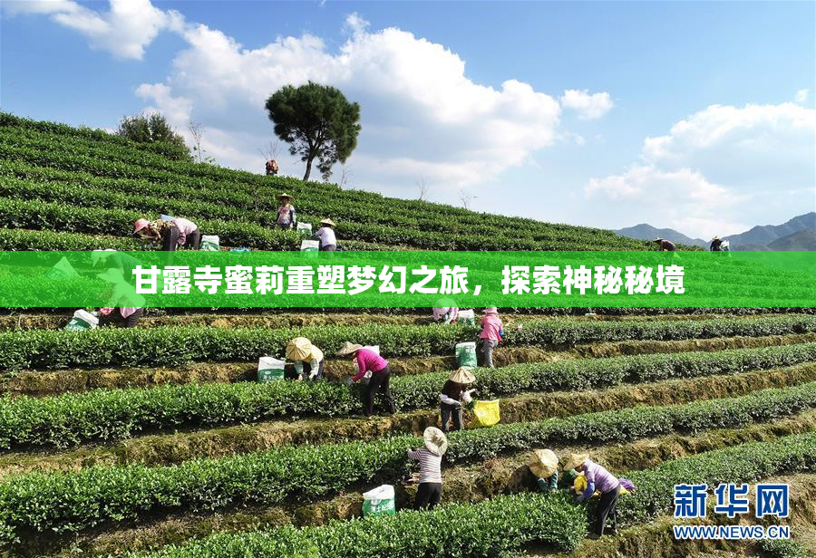 甘露寺蜜莉重塑梦幻之旅，探索神秘秘境