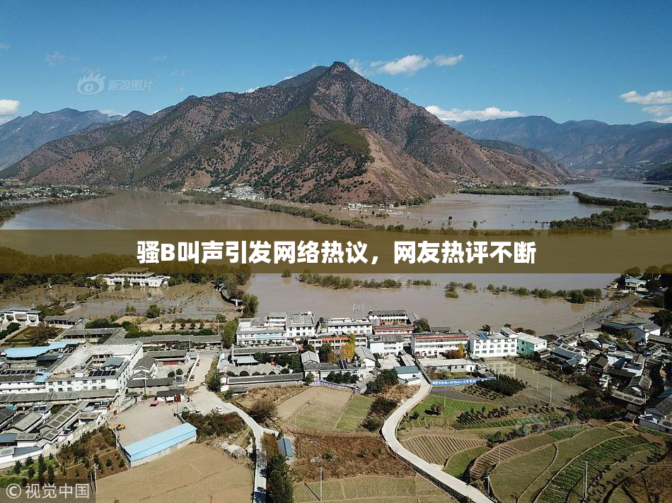 骚B叫声引发网络热议，网友热评不断