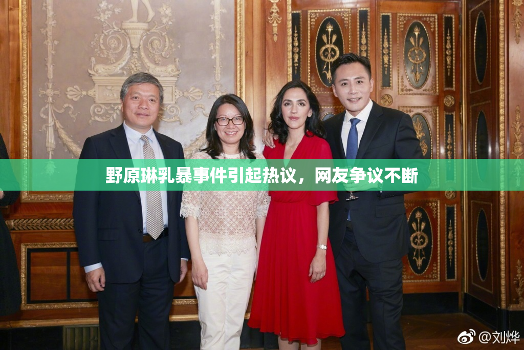 野原琳乳暴事件引起热议，网友争议不断