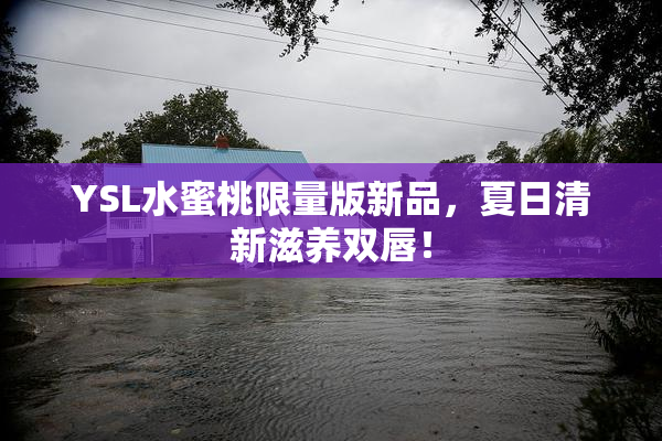 YSL水蜜桃限量版新品，夏日清新滋养双唇！