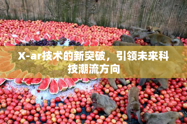 X-ar技术的新突破，引领未来科技潮流方向