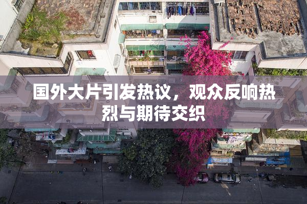 国外大片引发热议，观众反响热烈与期待交织