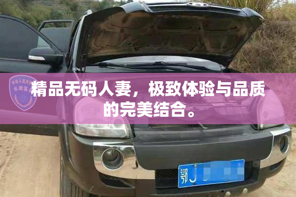 精品无码人妻，极致体验与品质的完美结合。