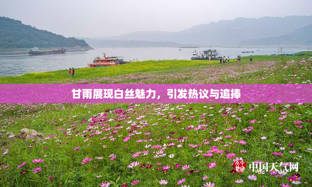 甘雨展现白丝魅力，引发热议与追捧