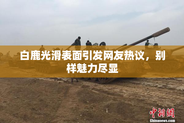白鹿光滑表面引发网友热议，别样魅力尽显