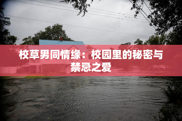校草男同情缘：校园里的秘密与禁忌之爱