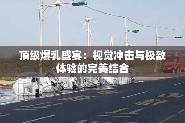顶级爆乳盛宴：视觉冲击与极致体验的完美结合