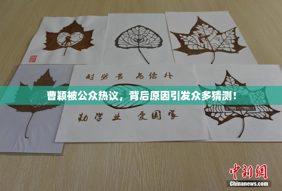 曹颖被公众热议，背后原因引发众多猜测！