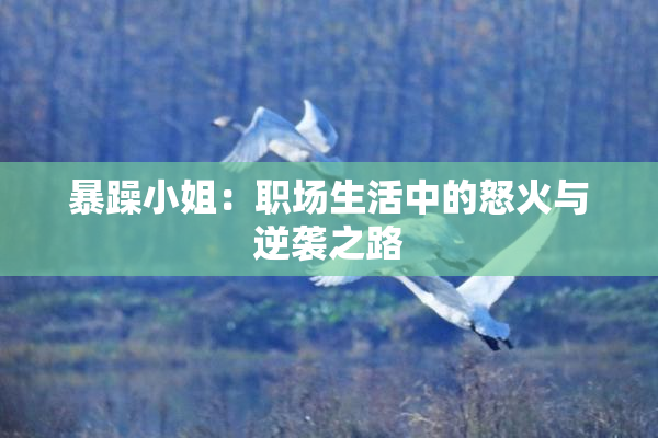 暴躁小姐：职场生活中的怒火与逆袭之路
