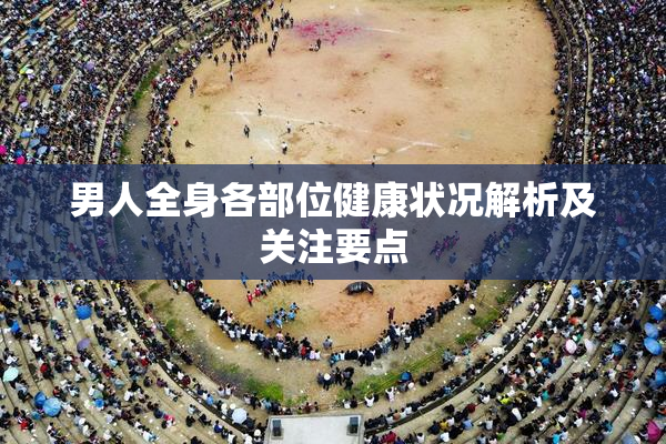男人全身各部位健康状况解析及关注要点