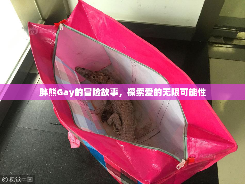 胖熊Gay的冒险故事，探索爱的无限可能性