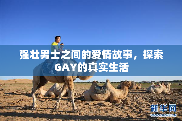 强壮男士之间的爱情故事，探索GAY的真实生活