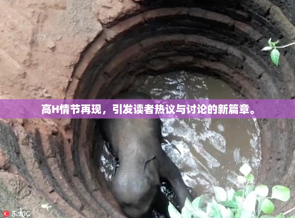 高H情节再现，引发读者热议与讨论的新篇章。