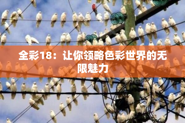 全彩18：让你领略色彩世界的无限魅力
