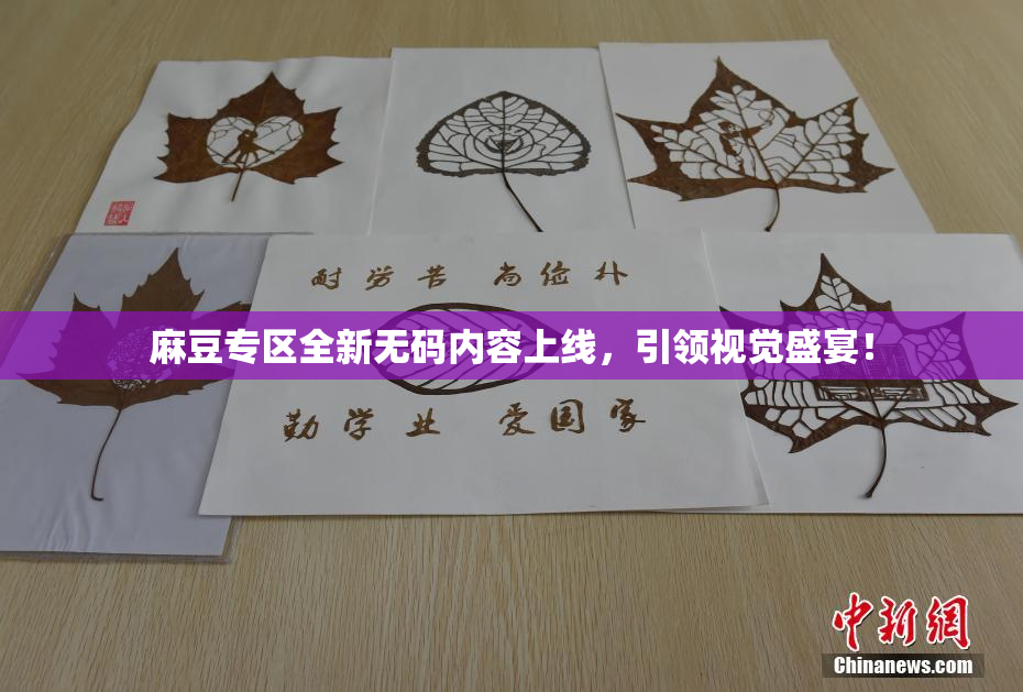 麻豆专区全新无码内容上线，引领视觉盛宴！