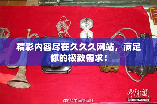 精彩内容尽在久久久网站，满足你的极致需求！